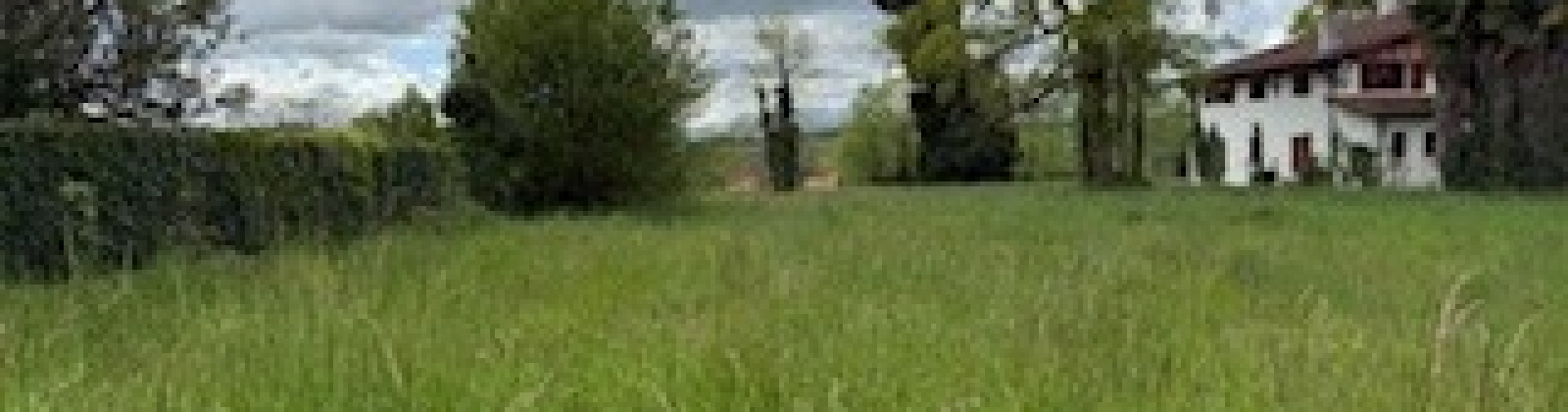 Bizkarreta, Béhasque lapiste, France 64120, ,Terrain,Terrain,Bizkarreta ,2008