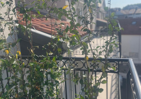 5-7 RUE DES DEPORTES, HENDAYE, France 64700, 3 Chambres Chambres, ,1 Salle de bainsSalle de bain,Appartement,Appartement,LOTURA,RUE DES DEPORTES,1,1711 5-7 RUE DES DEPORTES, HENDAYE, France 64700, 3 Chambres Chambres, ,1 Salle de bainsSalle de bain,Appartement,Appartement,LOTURA,RUE DES DEPORTES,1,1711